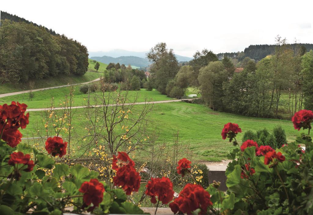 Landgasthof Adler Pelzmuehle Biederbach Baden-Württemberg Стая снимка